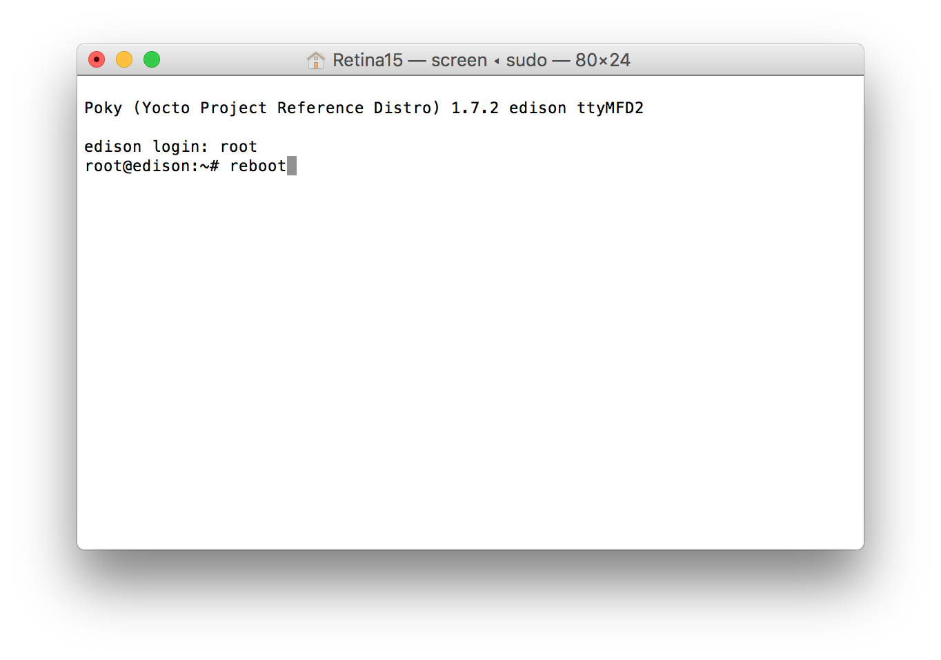 Example terminal screen