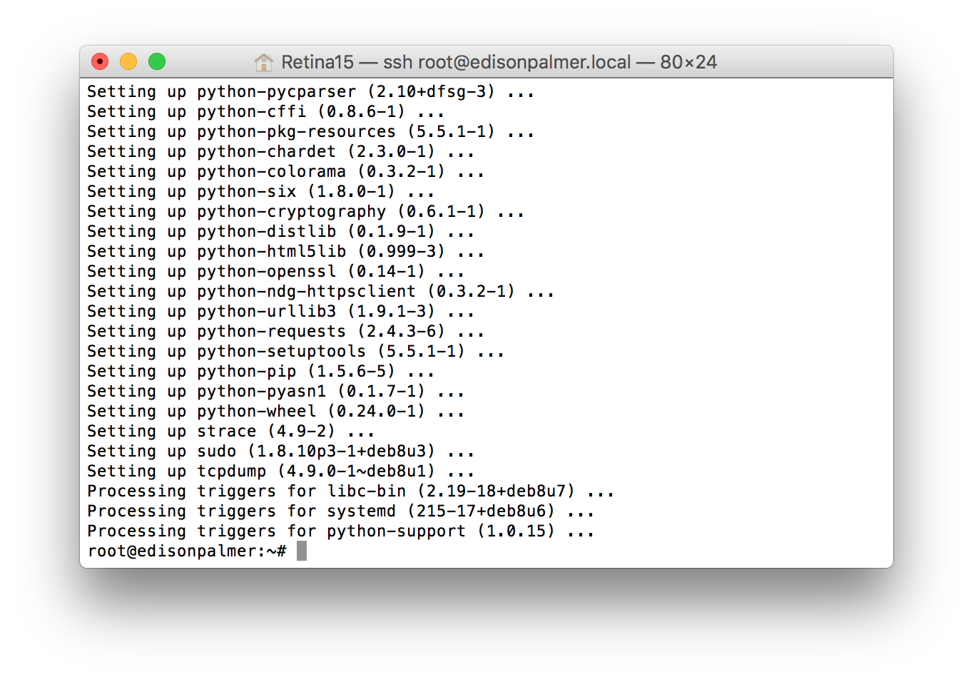python and sudo install